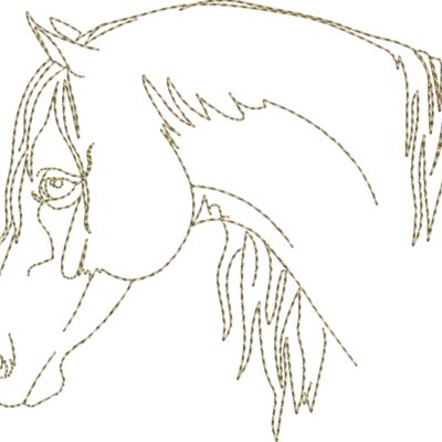 WS611 48 Thumbnail