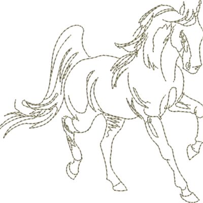 WS598 48 Thumbnail
