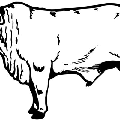 COW022 Thumbnail
