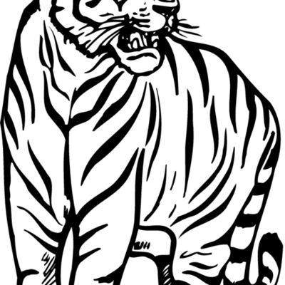 TIGER001 Thumbnail