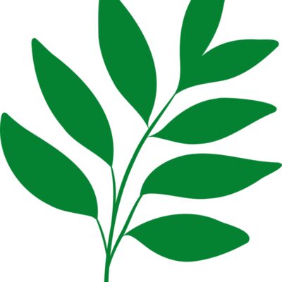 17 Leaves Thumbnail
